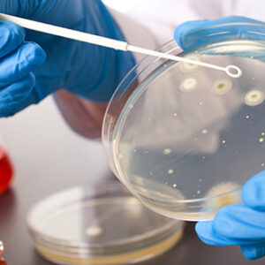 Посів; бактеріальна інфекція; шкіра; чутливість до 2-10 антибіотиків.